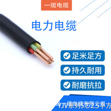 ϩ^| YJV-0.6/1kV-5*2.5 ɫ 1m