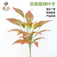 ����ֲ��Gɫ�~�ӱ������廨�쾰�����bzӰ���Ք[���پGֲ���l