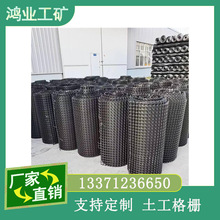 挡路强地基加固 前程单向双向土格栅 防渗土工膜加强型 路基加筋