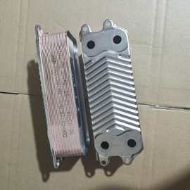 威能壁挂炉板式换热器节能燃气采暖热水两用锅炉暖气片配件其他