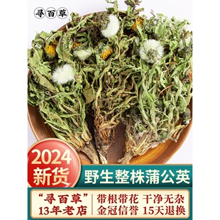 ���ٲ��ѹ�Ӣ��500gҰ�������ѹ�Ӣ���ѹ�Ӣ���Ŀݲ�����ɽ�����