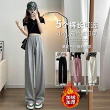 加绒加厚卫裤灰色运动裤女秋冬宽松阔腿裤小个子休闲加绒裤子女冬