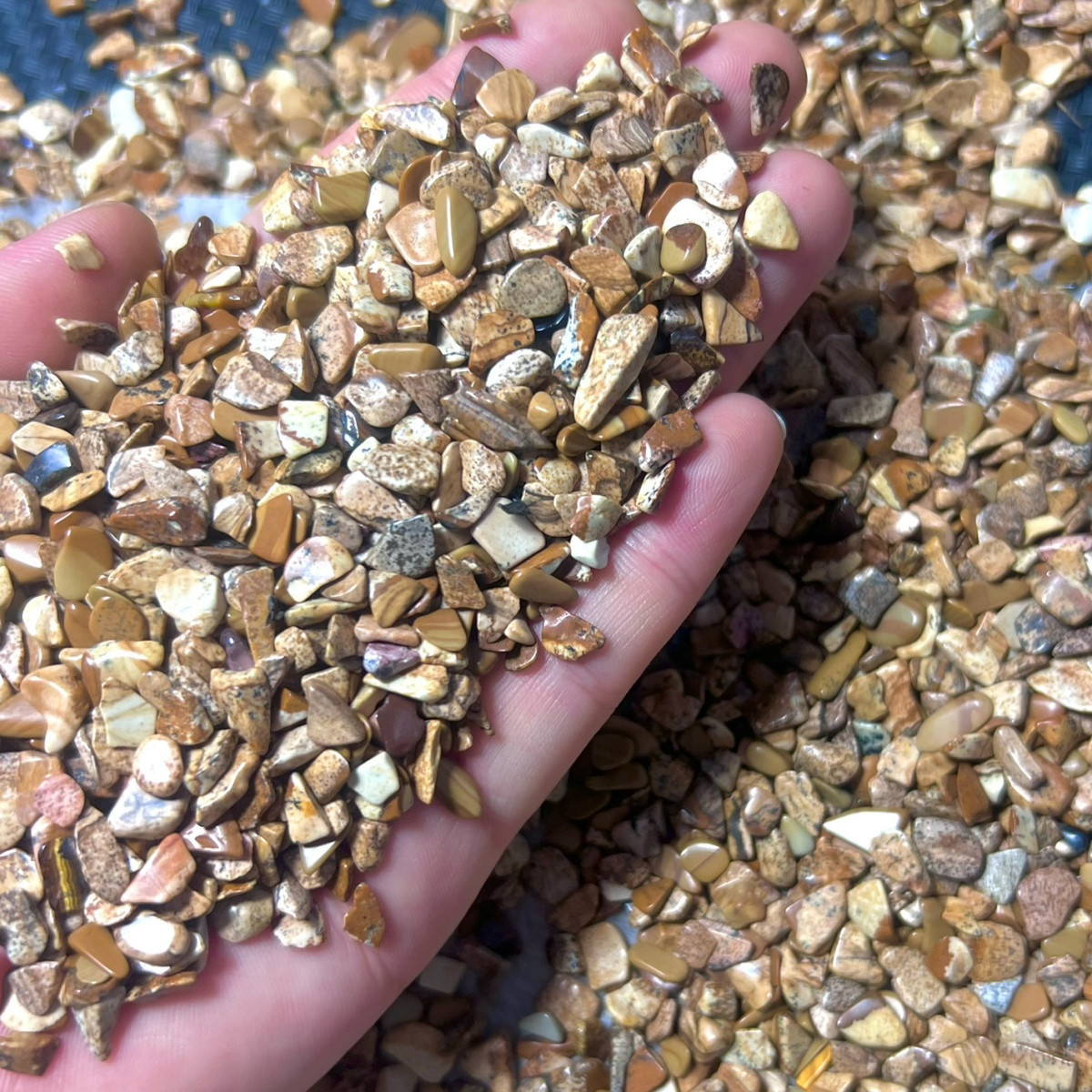 Fossilized wood / 3-5mm 100g