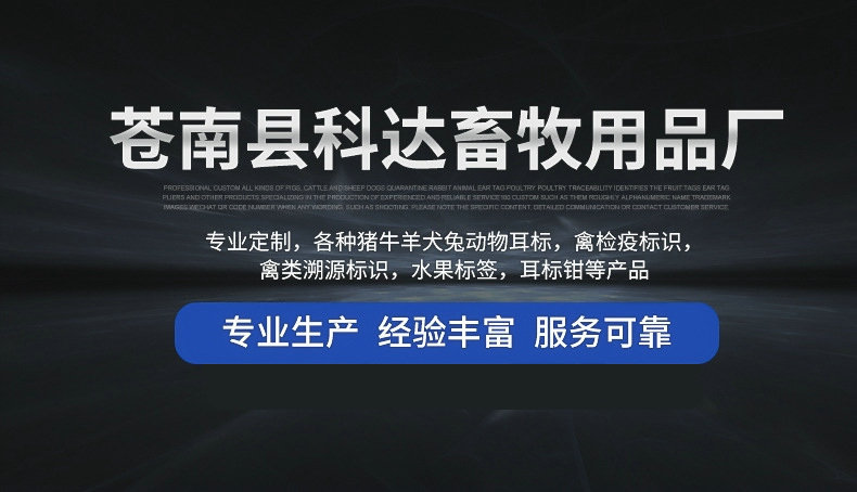 13288262082_1144669765