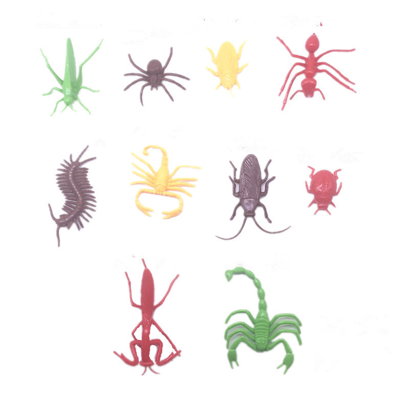 20986016051_326025122_副本