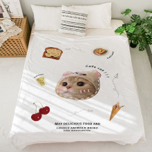 ins风萌宠小猫法兰绒毛毯空调办公室沙发毯午睡午休 家用披肩毯子