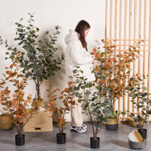 ����Gֲ���Ա��W�L�ȼ�������ͼ�ֲ��[���҃��b��X�~���辰