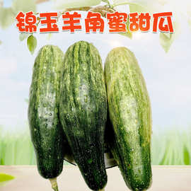 山东潍坊锦玉羊角蜜 /斤当季小香瓜应季新鲜水果脆香甜瓜1