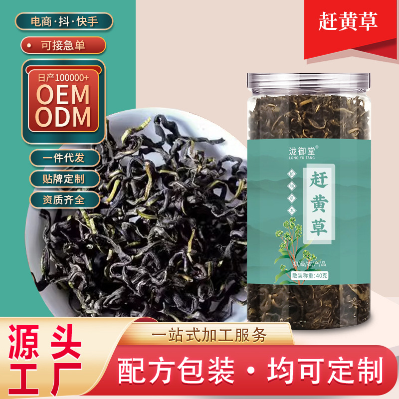 源头工厂 赶黄草茶赶黄草罐装 赶黄草叶代用茶支持一件 批发代发