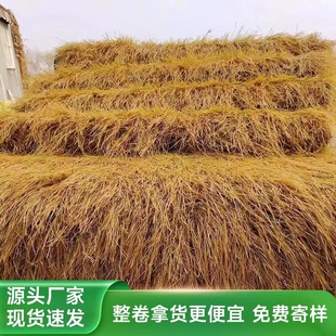 ����é������b����쵾�ݑ����ͤ�r�Ҙ�é�����˹����ϼ�ë��ƺ