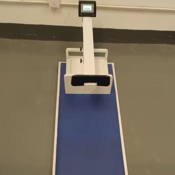 体质测试仪器坐位体前屈测试仪自动复位回弹坐座位体前屈测试仪器