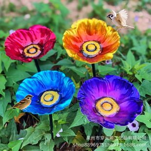 �羳�¿���ٹ�ˇƷ�Ă��ɫι�B�������ˮ�ز廨�@����S�Ҵ��l