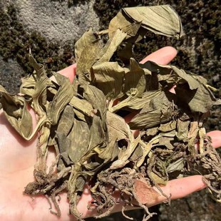 Ұɽ���~�m �y��ɏ ���~�m �Y�x��Ȼ�����؛��؛