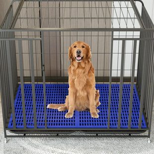 ���\�ӌ������ω|������_����W��|ɢ������С��Ȯ��ƴ���_�|