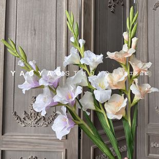 ��֦���m ��Ʒ�|�Wʽ���滨�Ҿ�����b廨�[�Ż�c��ˇ�ٻ�