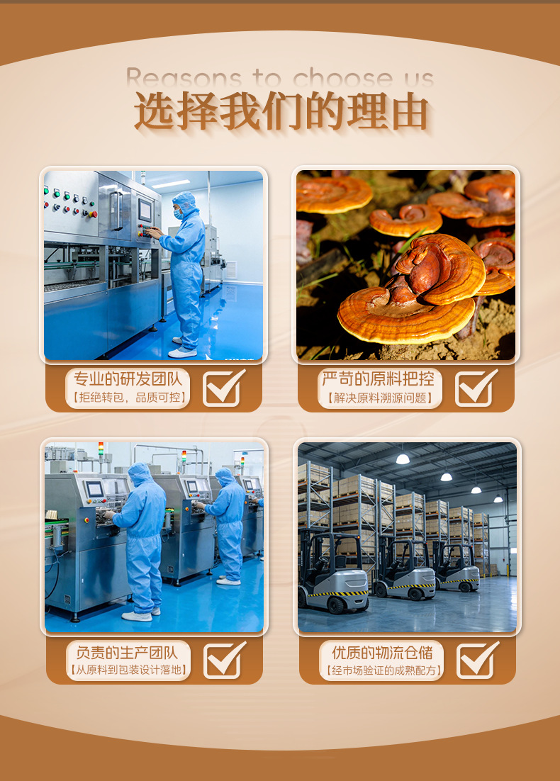 Reishi Mushroom Spore Powder Ling Zhi Bao Zi Fen 250g Changbai Mountain Red Reishi overview