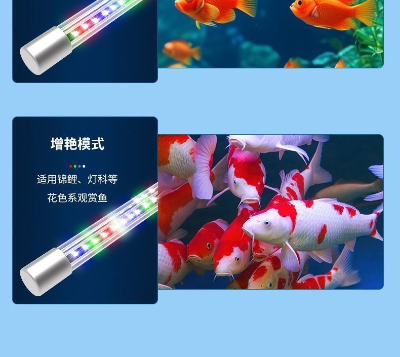 28f5fbc7-a487-4588-b560-f5b33a6d2b86.jpe