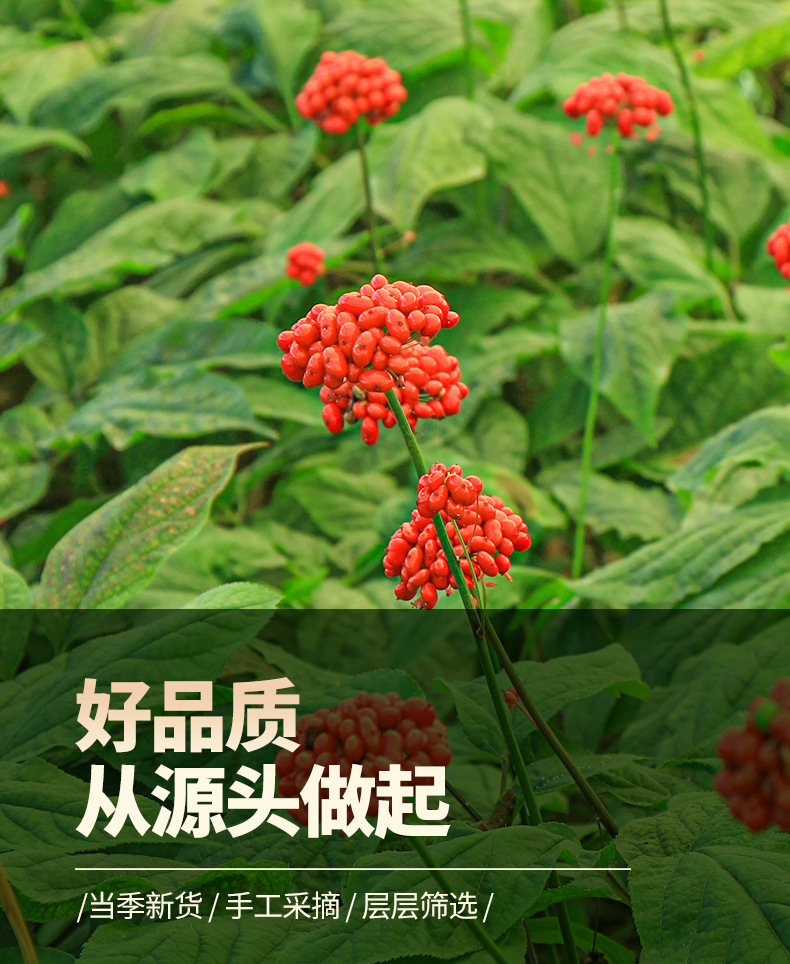 Unsweetened Red Ginseng Slices Changbai Mountain Large Sliced Dried Ginseng Root for Cooking and Tea overview