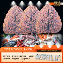 żиbPʽƵ⺣rƴPչʾ