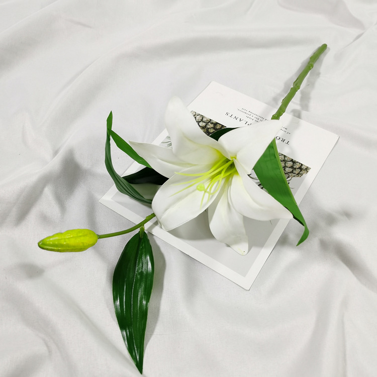 2c4f1985a0dc1f643b9760f5bb3815