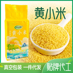 内モンゴルの黄色の米の500グラムの真空包装の新米の五穀の雑穀の粗食の香のモチモチの米のかゆの米の卸売り
