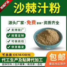 沙棘汁粉 沙棘果粉  水溶沙棘粉 固体饮料原料 SC工厂现货 沙棘粉