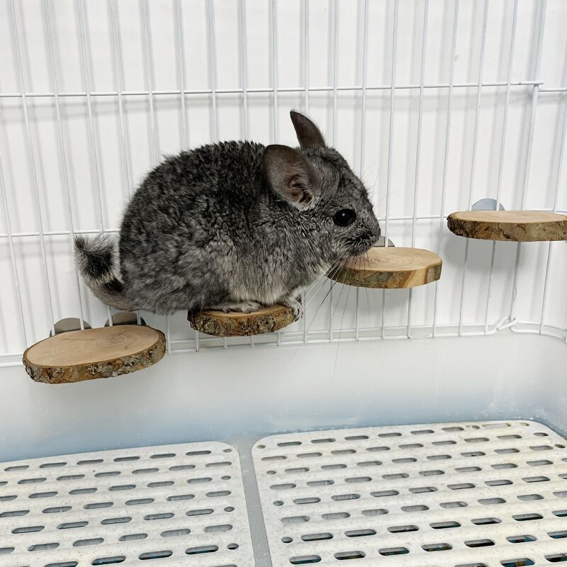 QQ图片20220327141653