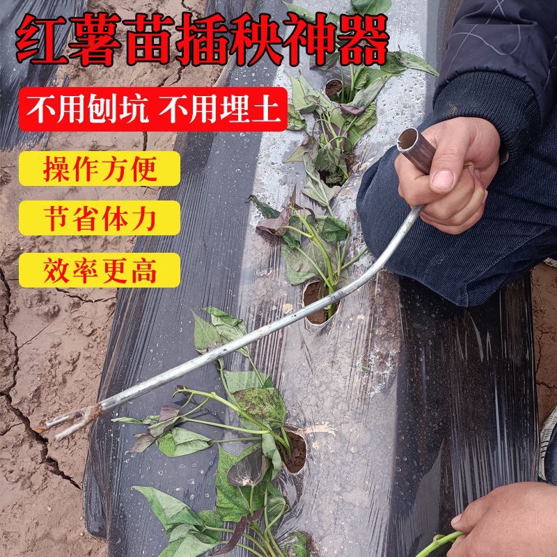 红薯栽苗器地瓜插苗器蔬菜种植工具叉子平栽工具葱苗栽苗器