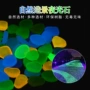 水族小号园林高亮发光石