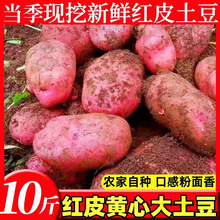 ����ե֭���l���S�R������������Ƥ10�tƤ���������F�ڽ������r