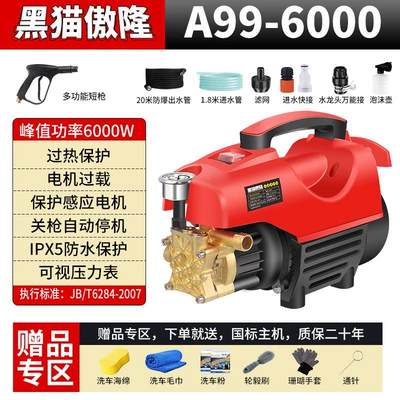 Portable car washer – Black Cat High-Pressure Car Washer for - high-power-short-gun-20m-explosion-proof-pipe-car-wash-gift-bag