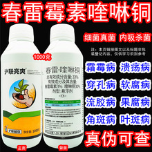 ����ˬ33%��������~����ù�����ͪ���z���ǰ߲�������