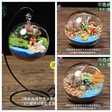 盆栽绿微观植造景礼品套装微景观diy材料多肉植物苔藓生态玻璃瓶