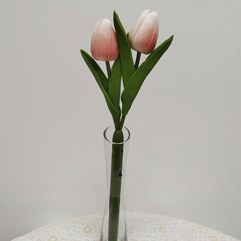 IMG_20220806_221231(2)