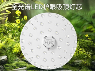 Full Spectrum Led Ceiling Lamp Wick Replacement and Transformation Magnetic Light Bar Lamp Panel Super Bright Lamp Bead Round Home Living Room