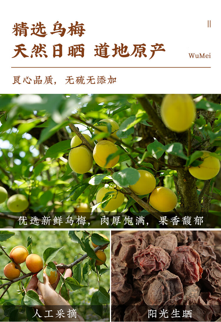 Dried Dark Plum Wu Mei 500g Smoke Free Sichuan Fruit for Herbal Tea and Sour Plum Drink key features