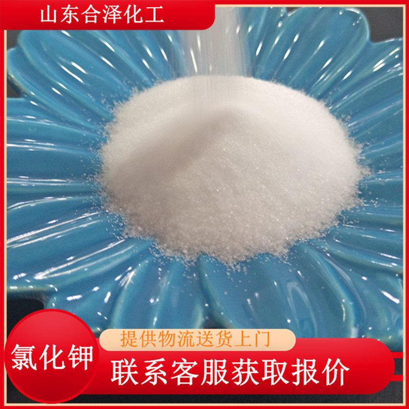 厂家供应食品级氯化钾 食用氯化钾 99含量结晶粉状氯化钾