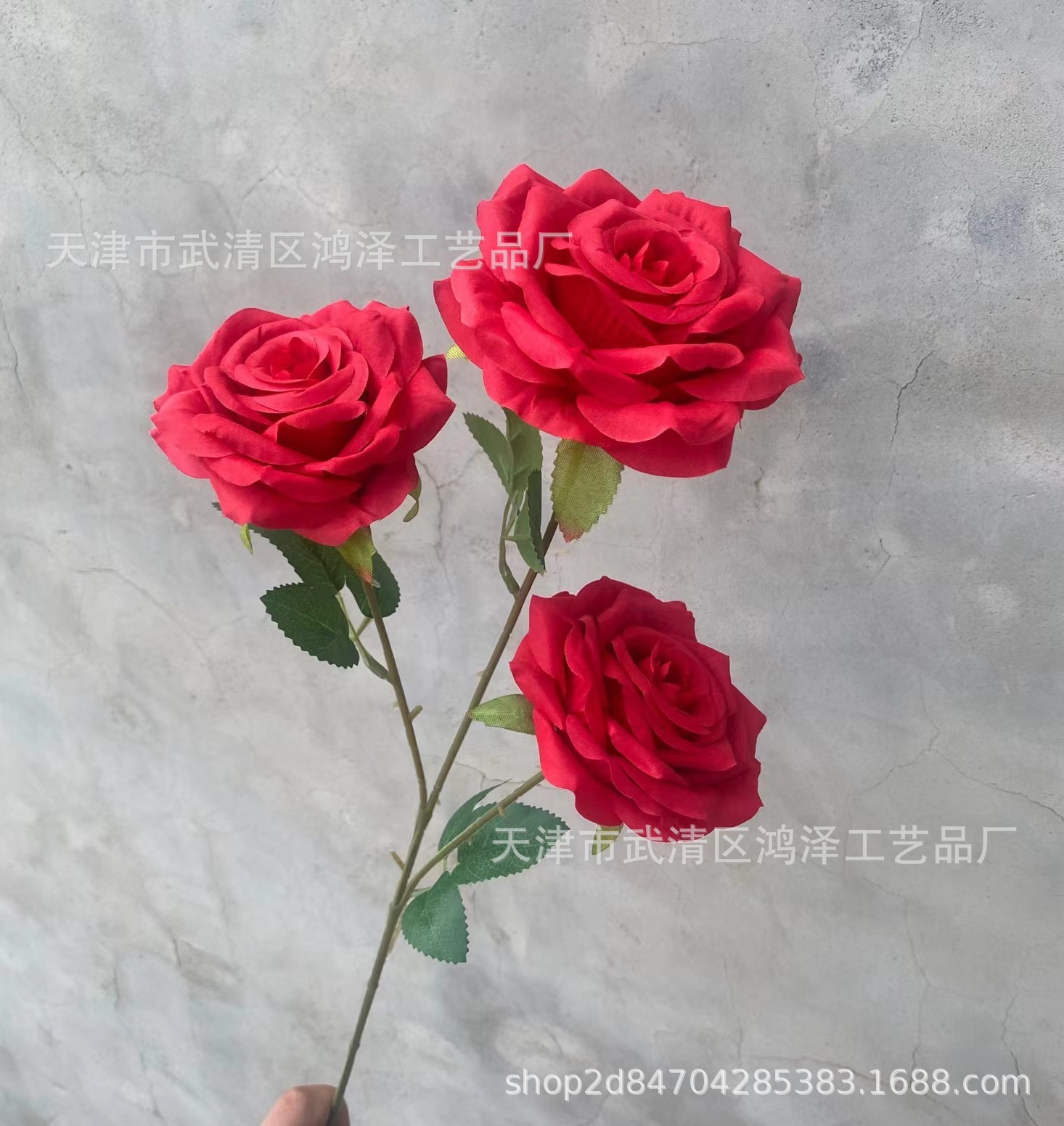 3 토우 자오 메이