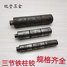 �����F���q��ĸ�A���q����� �����C���T�c���������F���q�