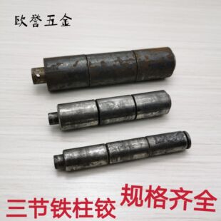 �����F���q��ĸ�A���q����� �����C���T�c���������F���q�