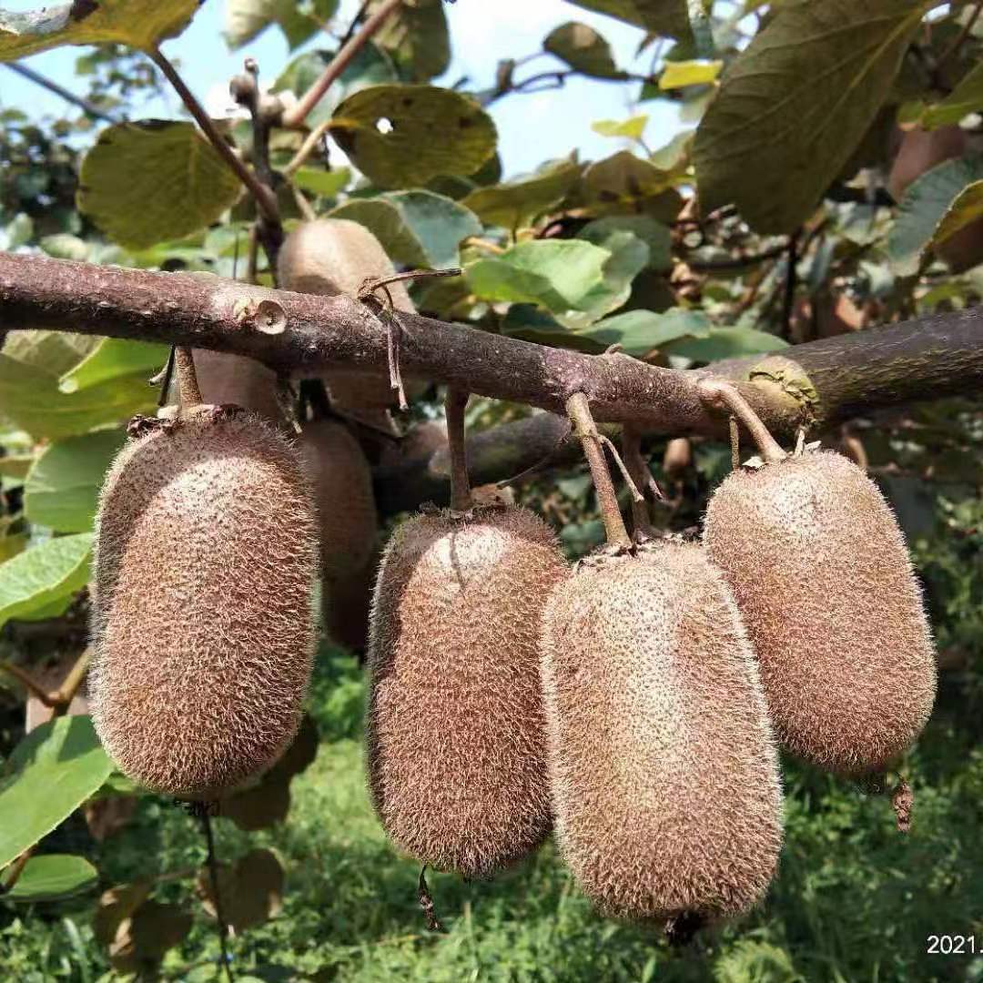 微信图片_20221118014002