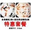 8 pieces of mixed match with 3-5 cm