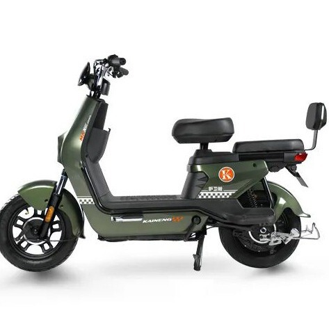 electric electric car for adults