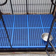 宠物笼子垫板网格垫塑料不卡脚漏尿板散热板加厚可拼接狗笼脚垫板