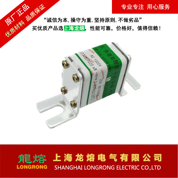快速熔断器RSY L1051025 1000V63A 认准上海龍熔