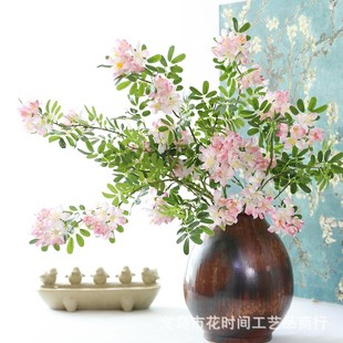 ���滨�����Ҿ��bzӰ���ջ�Y�������÷��溣�Ļ��ٻ�����ֲ��