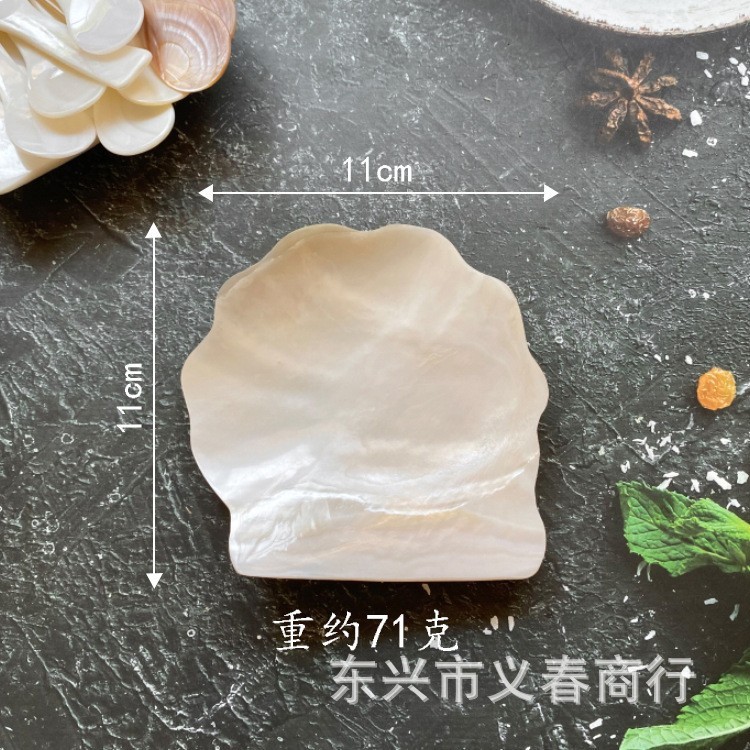 真珠貝皿、フルーツ皿、写真装飾、ジュエリー、キャビア、貝殻工芸品、創造的な自然|undefined