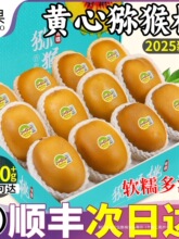 ��S�Y���Ĵ��ѽ��S�īJ�������r���]�殐��20���������������]
