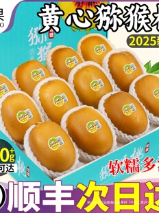 ��S�Y���Ĵ��ѽ��S�īJ�������r���]�殐��20���������������]