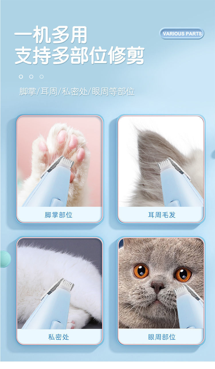 9b2c56b4-6341-49c3-ac3e-7f2c49a3c17f.jpe